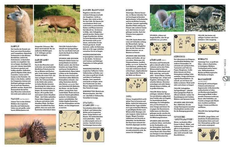 Der große NATIONAL GEOGRAPHIC Survival Guide BUCH